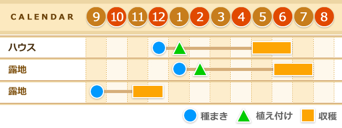 かぼちゃカレンダー