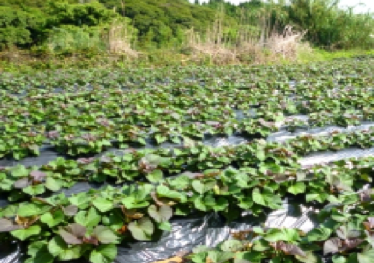 生産現場