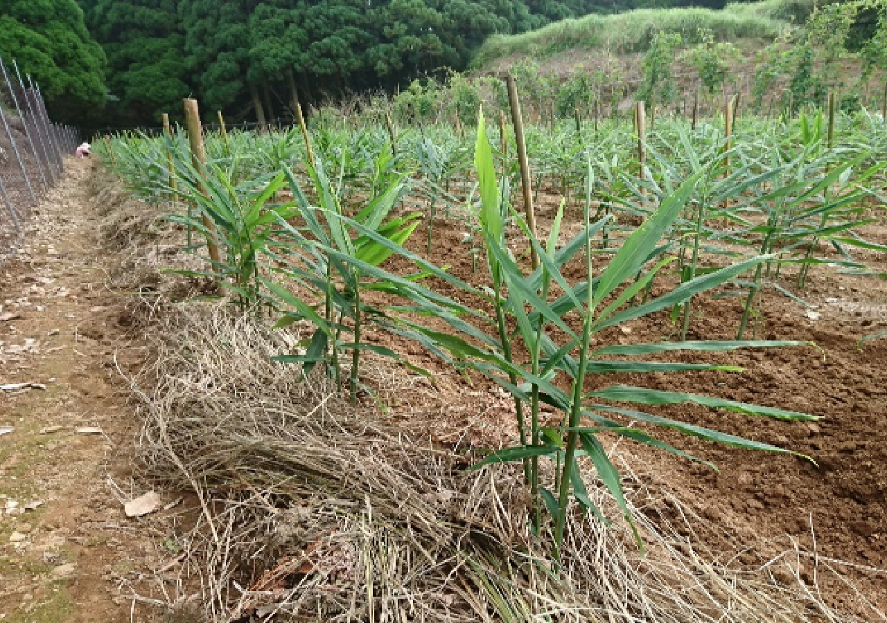 生産現場