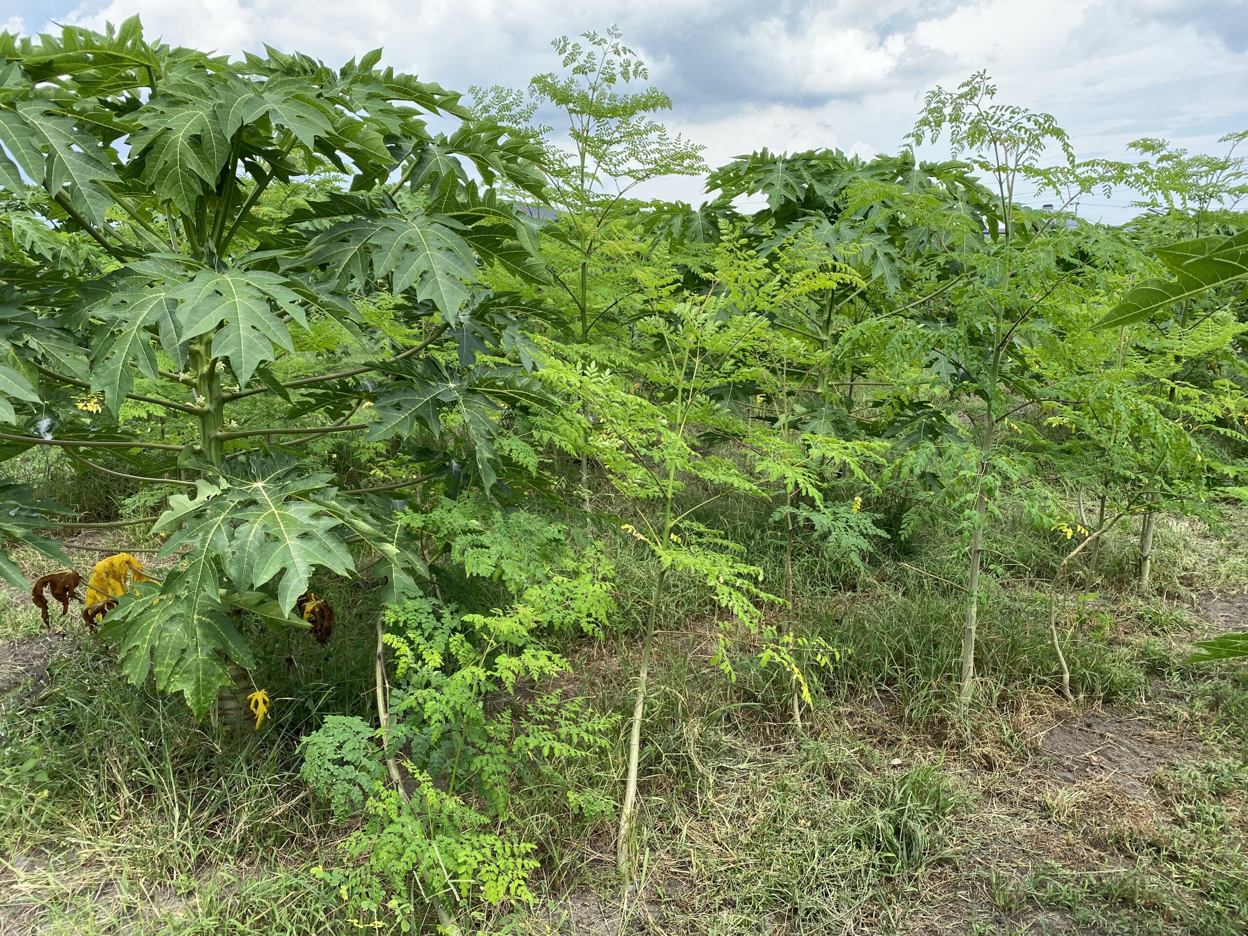 生産現場