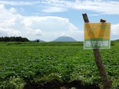 生産現場