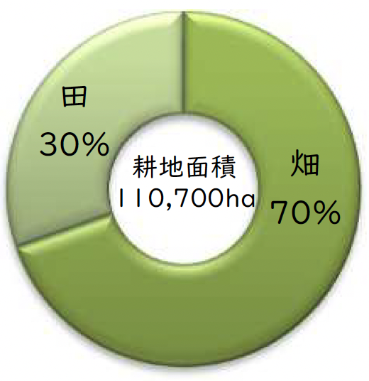 令和4年　耕地面積110,700ha　田：30％／畑：70％